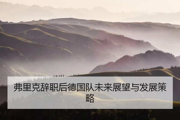 弗里克辞职后德国队未来展望与发展策略 - jiuyou